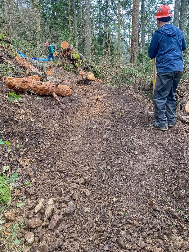 After, improving the tread once the root ball was removed, with logs in place to reroute traffic.