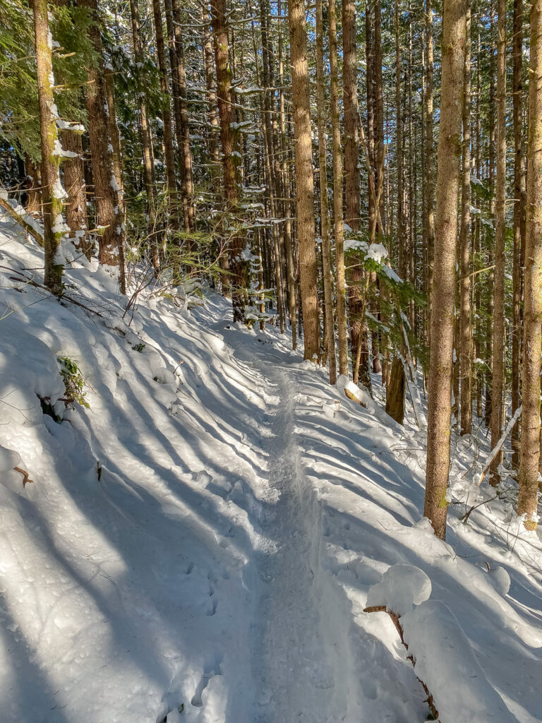 We had a beautiful wintery day on February 11, 2025. With no bears chasing us on the trail.