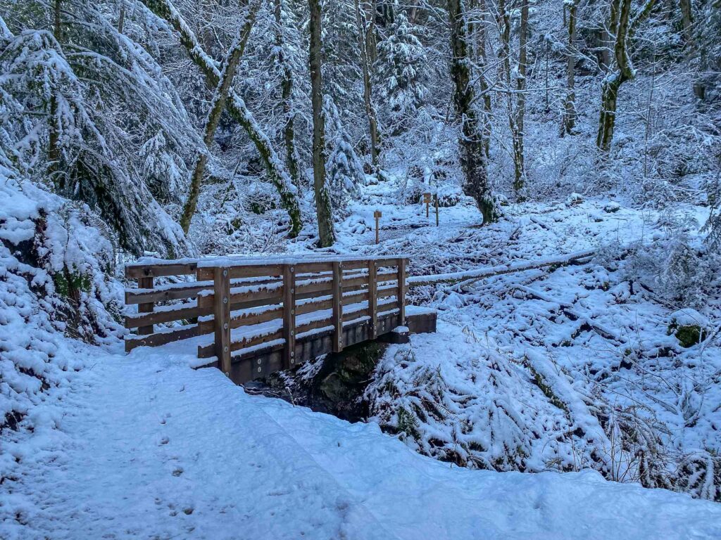 The bridge leading to the junction for Gombu Cliffs and Whittaker Peak on Cougar Mountain, February 4, 2025. 3-5 inches of snow made everything beautiful.