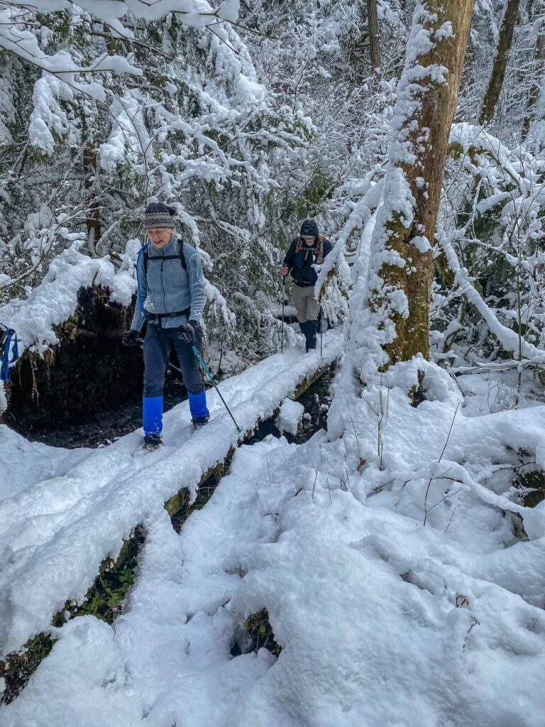 Safely navigating our way across a snow-covered footbridge.