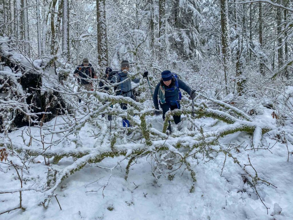 We had to overcome obstacles including this snag of branches. Nothing could stop my team!